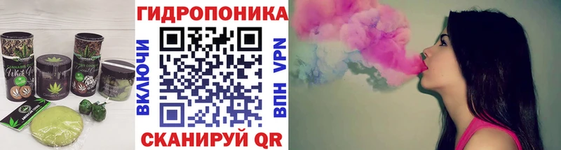 Купить закладки  Карпинск  Canna-Cookies конопля 
