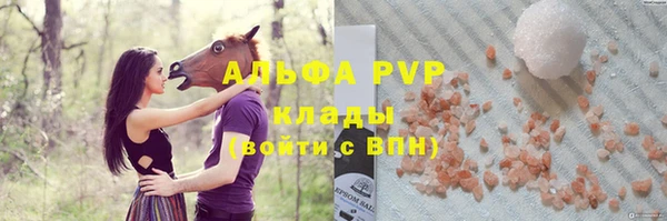 индика Каменногорск