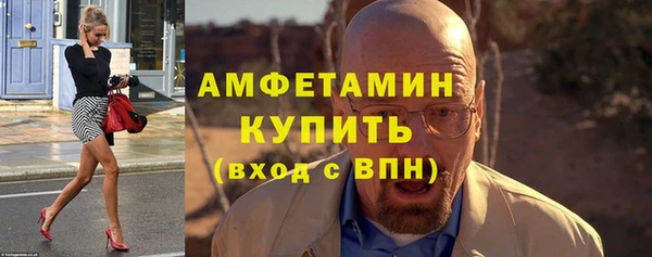 индика Каменногорск