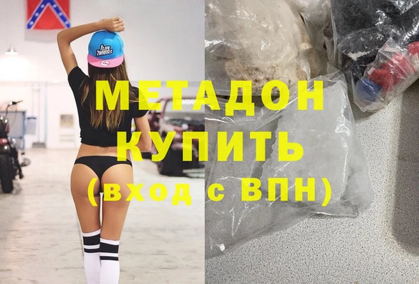 индика Каменногорск