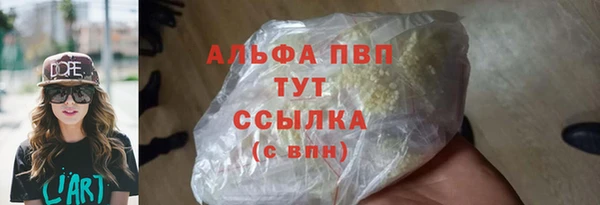 индика Каменногорск