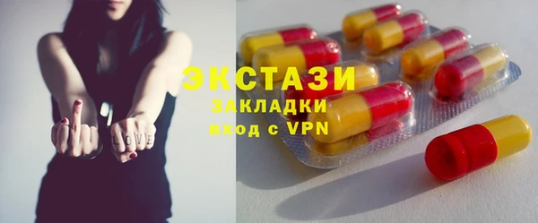 индика Каменногорск