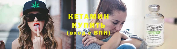 индика Каменногорск