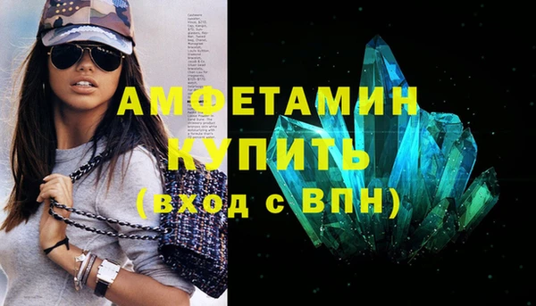 индика Каменногорск
