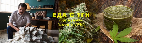 индика Каменногорск