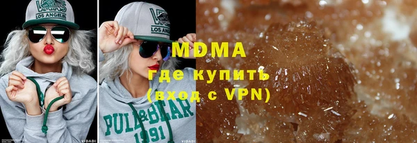 индика Каменногорск