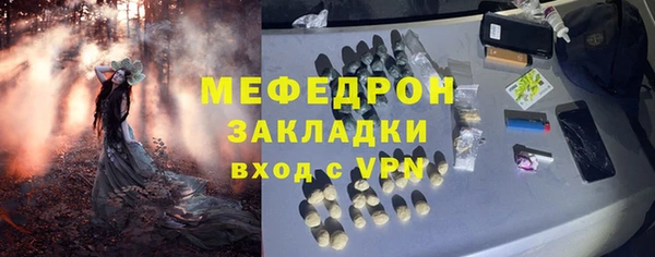 индика Каменногорск