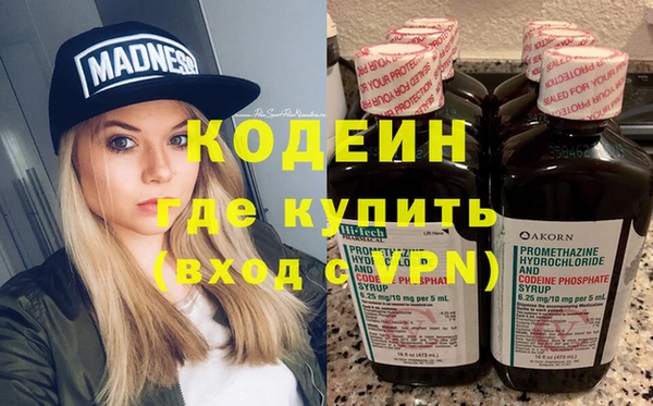 индика Каменногорск