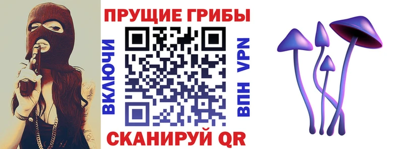 Купить где  Карпинск  Псилоцибиновые грибы ЛСД 